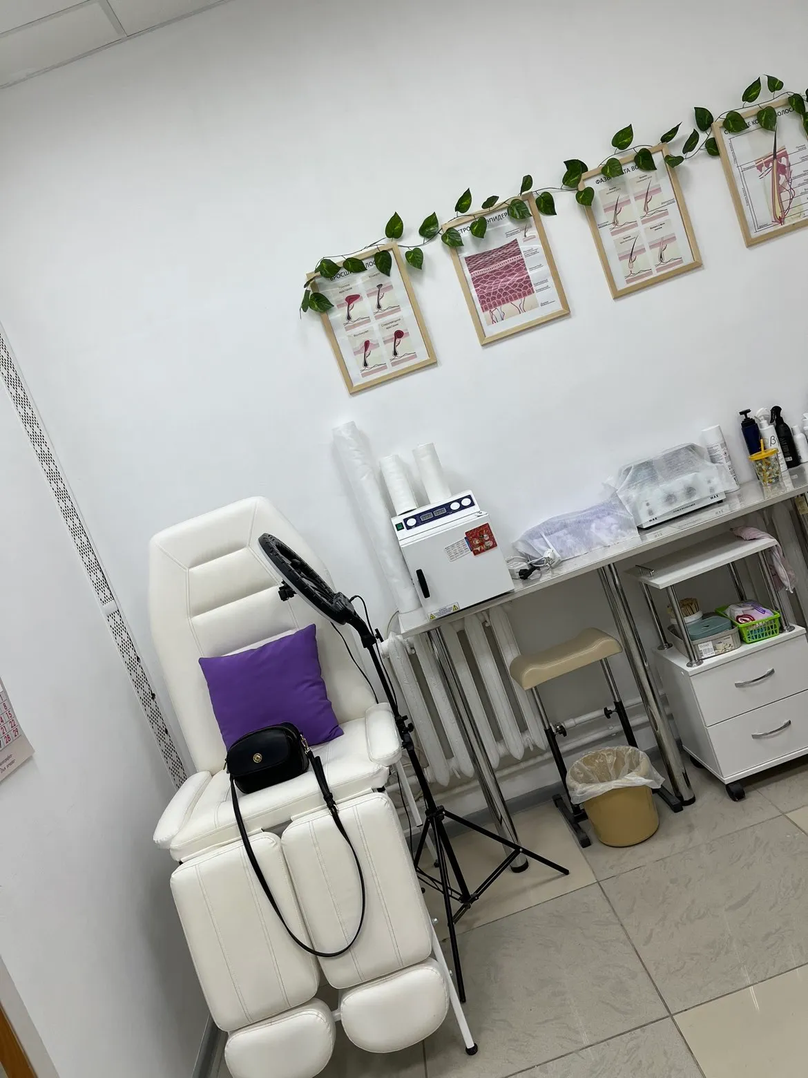 photo-1